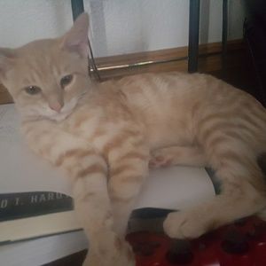 Meet your Posher, Tina